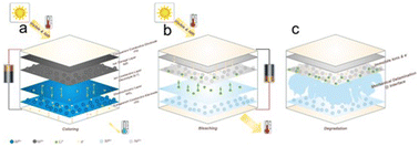 Graphical abstract: Revealing nanomechanical deformation at the interface and degradation in all-thin-film inorganic electrochromic devices