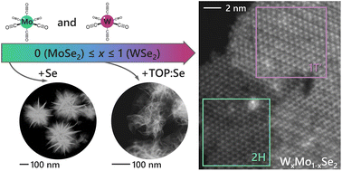 Graphical abstract: Tuning the 1T′/2H phases in WxMo1−xSe2 nanosheets