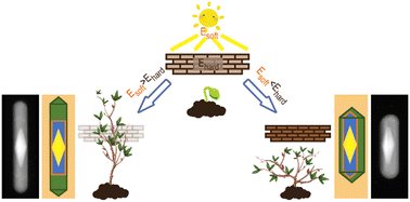 Graphical abstract: Template-directed growth of Ag nanostructures: soft templates versus hard templates