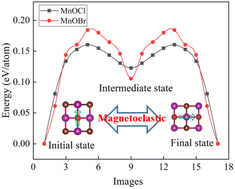 Graphical abstract: First-principles prediction of two-dimensional MnOX (X = Cl, Br) monolayers: the half-metallic multiferroics with magnetoelastic coupling