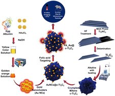 Graphical abstract: Preclinical safety assessment of red emissive gold nanocluster conjugated crumpled MXene nanosheets: a dynamic duo for image-guided photothermal therapy
