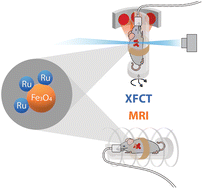 Graphical abstract: XFCT-MRI hybrid multimodal contrast agents for complementary imaging