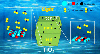 Graphical abstract: Oxygen vacancies assist a facet effect to modulate the microstructure of TiO2 for efficient photocatalytic O2 activation