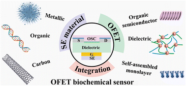 Graphical abstract: Integration of nanomaterial sensing layers on printable organic field effect transistors for highly sensitive and stable biochemical signal conversion