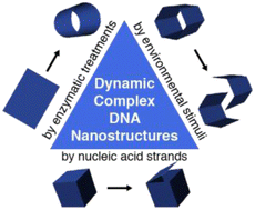 Graphical abstract: Controllable dynamics of complex DNA nanostructures