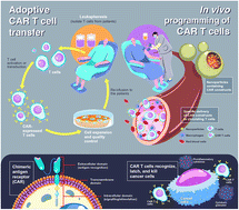 Graphical abstract: Potential roles of hyaluronic acid in in vivo CAR T cell reprogramming for cancer immunotherapy