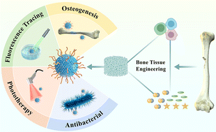Graphical abstract: Recent advances in carbon dots: synthesis and applications in bone tissue engineering