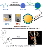 Graphical abstract: A thermosensitive Pickering gel emulsion with a high oil–water ratio for long-term X-ray imaging and permanent embolization of arteries