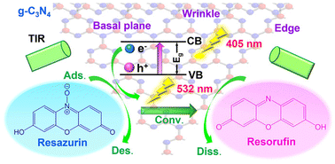 Graphical abstract: In situ quantitative single-molecule study of site-specific photocatalytic activity and dynamics on ultrathin g-C3N4 nanosheets