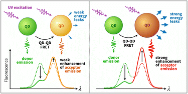 Graphical abstract: All-quantum dot based Förster resonant energy transfer: key parameters for high-efficiency biosensing