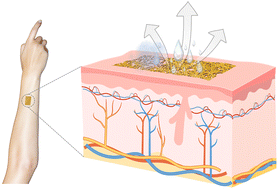 Graphical abstract: Toward a new generation of permeable skin electronics