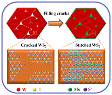 Graphical abstract: Heteroatomic stitching of broken WS2 monolayer with enhanced surface potential