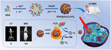 Graphical abstract: BSA-templated synthesis of Ir/Gd bimetallic oxide nanotheranostics for MR/CT imaging-guided photothermal and photodynamic synergistic therapy