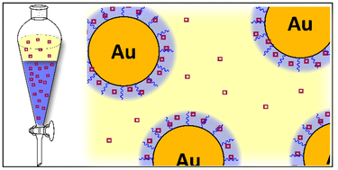 Graphical abstract: On-nanoparticle monolayers as a solute-specific, solvent-like phase