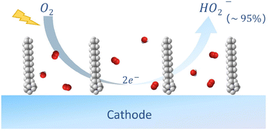 Graphical abstract: Directing oxygen reduction reaction selectivity towards hydrogen peroxide via electric double layer engineering