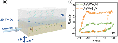 Graphical abstract: Enhanced spin–orbit torque and field-free switching in Au/TMDs/Ni hybrid structures