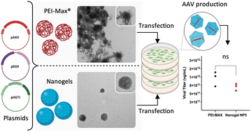 Graphical abstract: Microfluidic production of nanogels as alternative triple transfection reagents for the manufacture of adeno-associated virus vectors