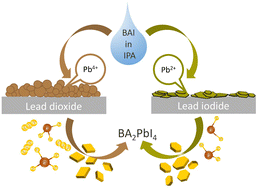 Graphical abstract: The role of Pb oxidation state of the precursor in the formation of 2D perovskite microplates