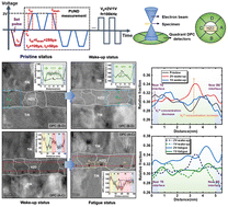 Graphical abstract: First direct observation of the built-in electric field and oxygen vacancy migration in ferroelectric Hf0.5Zr0.5O2 film during electrical cycling