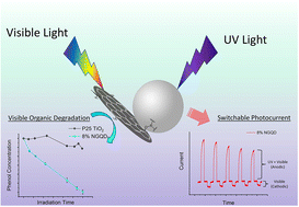 Graphical abstract: TiO2–NGQD composite photocatalysts with switchable photocurrent response