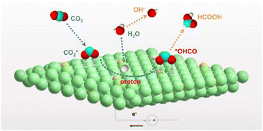 Graphical abstract: Doping and pretreatment optimized the adsorption of *OCHO on bismuth for the electrocatalytic reduction of CO2 to formate