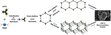 Graphical abstract: Microkinetic insights into the role of catalyst and water activity on the nucleation, growth, and dissolution during COF-5 synthesis