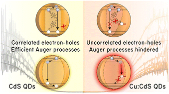 Graphical abstract: Single particle level dynamics of photoactivation and suppression of Auger recombination in aqueous Cu-doped CdS quantum dots