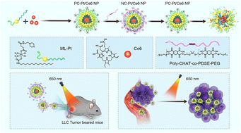 Graphical abstract: Light-activated PEG deshielding core–shell nanoparticles for enhanced chemo-photodynamic combination therapy