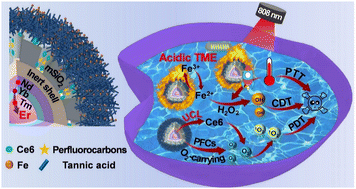 Graphical abstract: An engineered cascade-sensitized red-emitting upconversion nanoplatform with a tandem hydrophobic hydration-shell and metal-phenolic network decoration for single 808 nm triggered simultaneous tumor PDT and PTT enhanced CDT