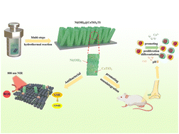 Graphical abstract: Construction of a Ni(OH)2@CaTiO3 heterostructure on a Ti implant for enhanced osseointegration through NIR photoactivated bacterial inactivation and microenvironment optimization