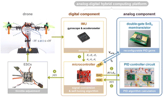 Graphical abstract: A self-tuning PID controller based on analog–digital hybrid computing with a double-gate SnS2 memtransistor