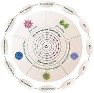 Graphical abstract: Navigating zinc-involved nanomedicine in oncotherapy