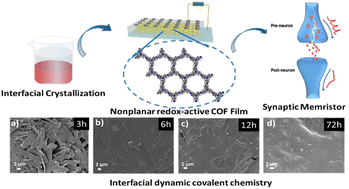 Graphical abstract: Interface-confined synthesis of a nonplanar redox-active covalent organic framework film for synaptic memristors