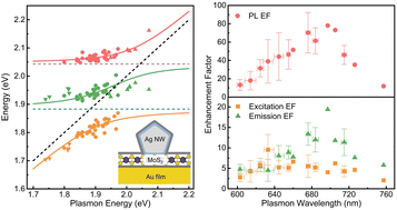 Graphical abstract: Excitation and emission distinguished photoluminescence enhancement in a plasmon–exciton intermediate coupling system