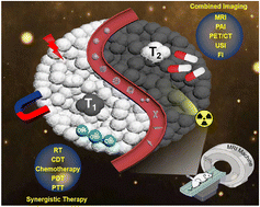 Graphical abstract: Shape programmable T1–T2 dual-mode MRI nanoprobes for cancer theranostics