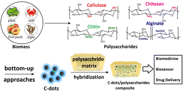 Graphical abstract: Polysaccharide-based C-dots and polysaccharide/C-dot nanocomposites: fabrication strategies and applications