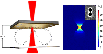 Graphical abstract: High-speed nanoscale optical trapping with plasmonic double nanohole aperture