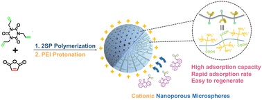 Graphical abstract: Super-adsorbent microspheres based on a triallyl isocyanurate–maleic anhydride copolymer for the removal of organic pollutants from water