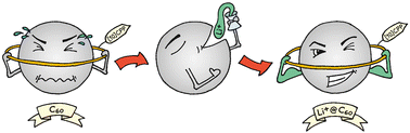Graphical abstract: A molecular Popeye: Li+@C60 and its complexes with [n]cycloparaphenylenes