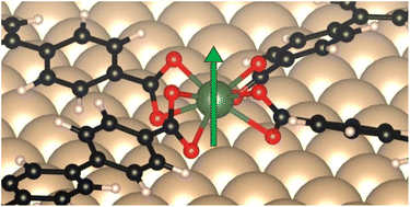 Graphical abstract: Lanthanide metal–organic network featuring strong perpendicular magnetic anisotropy