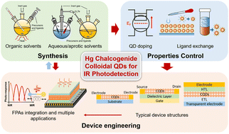 Graphical abstract: Mercury chalcogenide colloidal quantum dots for infrared photodetection: from synthesis to device applications