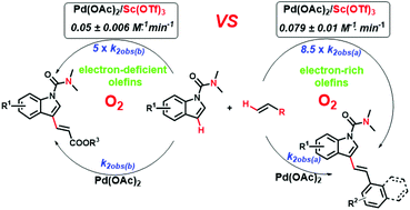 Graphical abstract: Pd(ii)/Lewis acid catalyzed regioselective olefination of indole with dioxygen