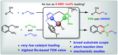 Graphical abstract: RuII-Complexes of heteroditopic chelating NHC ligands: effective catalysts for the β-alkylation of secondary alcohols and the synthesis of 2-alkylaminoquinoline derivatives following the dehydrogenative protocol