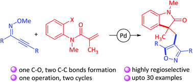 Graphical abstract: Palladium-catalyzed cyclizative cross coupling of ynone oximes with 2-haloaryl N-acrylamides for isoxazolyl indoline bis-heterocycles