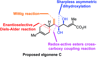 Graphical abstract: Total synthesis of proposed elgonene C and its (4R,5R)-diastereomer