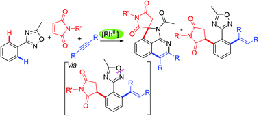 Graphical abstract: Rh(iii)-Catalyzed cascade annulation to produce an N-acetyl chain of spiropyrroloisoquinoline derivatives