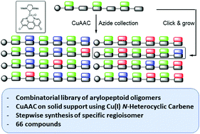 Graphical abstract: Arylopeptoid oligomers functionalised by combinatorial or sequential on-resin click chemistry using a copper(i)–N-heterocyclic carbene catalyst