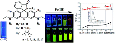 Graphical abstract: Chain length effect of spiro-ring N-alkylation on photophysical signalling parameters in Fe(iii) selective rhodamine probes