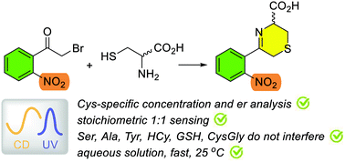 Graphical abstract: Selective chiroptical sensing of d/l-cysteine