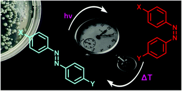 Graphical abstract: Systematic modifications of substitution patterns for property tuning of photoswitchable asymmetric azobenzenes